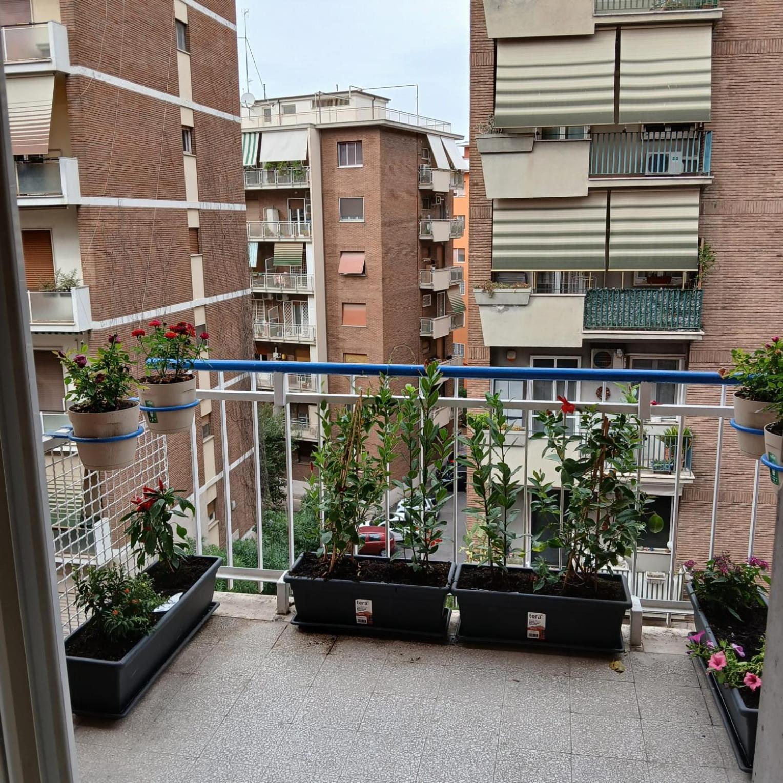 Grand Nomentana Roma Apartment Екстериор снимка